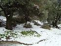 10-03-2010 13h55 39